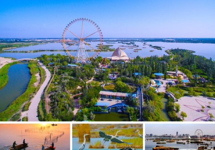 【 揭 秘 一 下 】 “ 微 乐 游 戏 开 挂 是 怎 样 的 ” 开 挂 ( 透 视 ) 辅 助 教 程