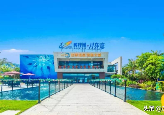 万能开挂辅助“德扑之星德州透视开挂(透视)详细开挂教程”(确实有挂)