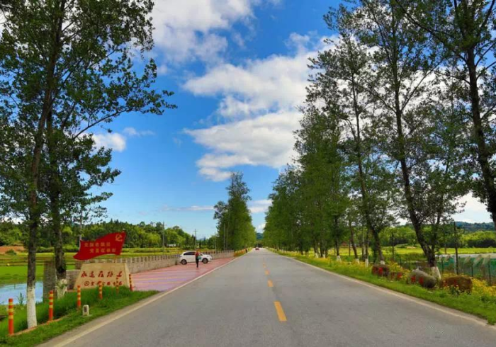 3分钟教程“休闲宜丰哪里有卖挂(确实真的有挂)